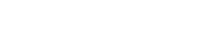 Ciso-assistant icon